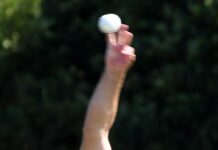 2025 In Review – Pitcher perfect way to 600