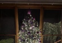 Christmas tree in all its holiday glory