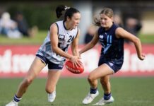 Rays quartet in Draft mix