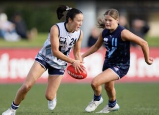 Rays quartet in Draft mix