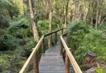 More reasons to get outdoors this summer