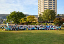 $1 million for brain cancer research