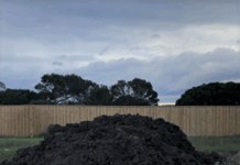 Free soil too good to be true? It just might be