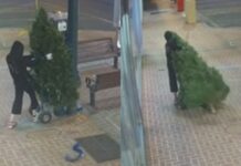 CCTV captures grinch stealing Main Street Christmas tree