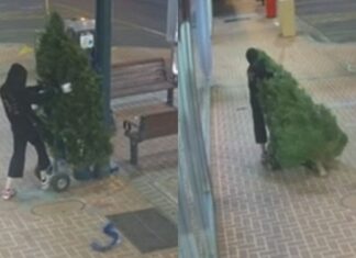 CCTV captures grinch stealing Main Street Christmas tree