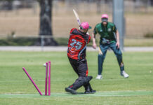 Cougars blow away Bulls