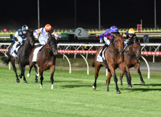 Highest bar set for Hedged