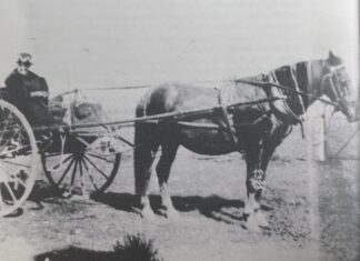 Pakenham History: Mary travelled far and wide to provide medical care