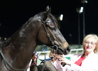 Landscape complete as Alderson and Bates claim Group 1’s