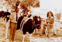 Looking back through the archives