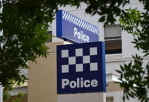Fatal collision in Doveton