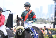 Son’s Gallant performance as Pozman picks path to success