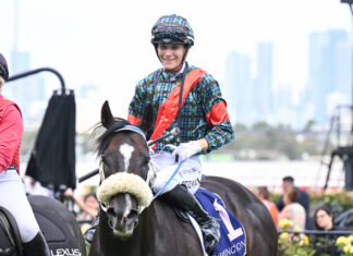 Son’s Gallant performance as Pozman picks path to success