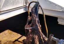 Enhancing water quality with Ice Pigging innovation