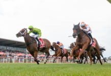 Sweethearted strikes again