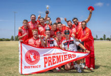 Cobras claim T20 triumph