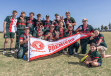 Back-to-back for Seagulls