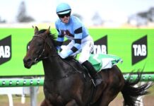 Tom’s stocks continue to soar