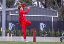 Surging Swans almost hampered by Hawks