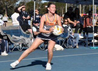 2025 In Review – Giants lead cream of the WGFNC crop