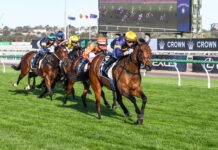 Stars come out to play as Group 2 racing heads to Southside Pakenham