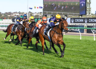 Stars come out to play as Group 2 racing heads to Southside Pakenham