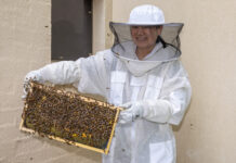 Year in Review: On the Land through the lens