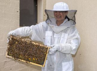 Year in Review: On the Land through the lens