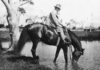 Pakenham History: Key moments in Pakenham racing