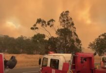 Casey fire brigades deployed to support efforts against raging bushfires
