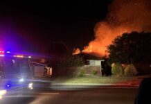 Single mother pleads after tragic fire