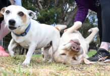 Year in Review: Pictures of the Year