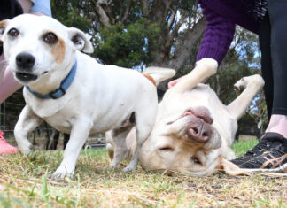 Year in Review: Pictures of the Year