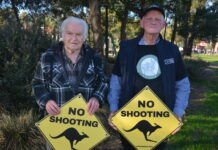 ‘A mockery’: Kangaroo shooting continues during bushfires