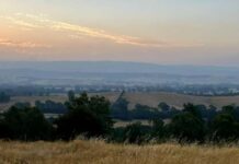 Photos capture land under fire and smoke
