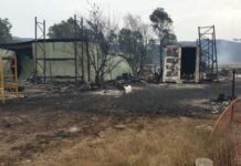 Lang Lang son watches parents’ blaze, ‘helplessly’