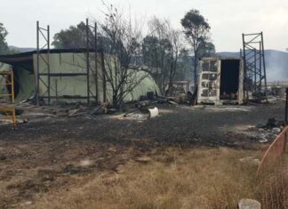 Lang Lang son watches parents’ blaze, ‘helplessly’