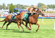 Sofie potentially something special for Moody and Coleman