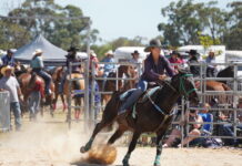 Bunyip Rodeo rides again