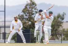 Finals race heats up with Cougars on the brink of big upset