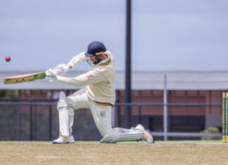 Cougars on the front foot