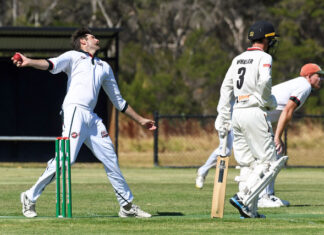 Gulls thrive under pressure