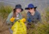 Help clean up Cardinia this weekend