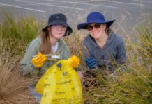 Help clean up Cardinia this weekend