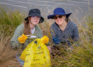 Help clean up Cardinia this weekend