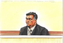 Accused murderer makes bail bid