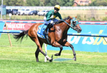 Moody thinks Sheza ripper