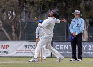 Noble turn tamers against Lions