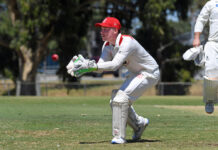 Silva century not enough as Bloods go 2-0 against Bucks