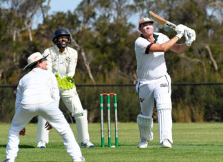 Seagulls still the top dogs